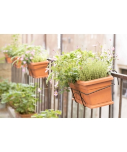 SET FIORIERA DA BALCONE BAMA "IRIS" TERRACOTTA 50 CM